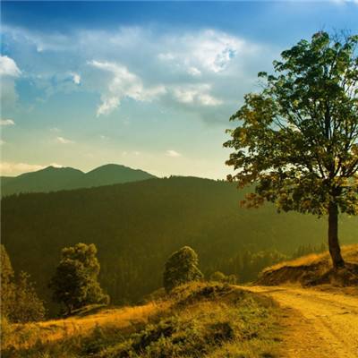 hg8868体育皇冠地址